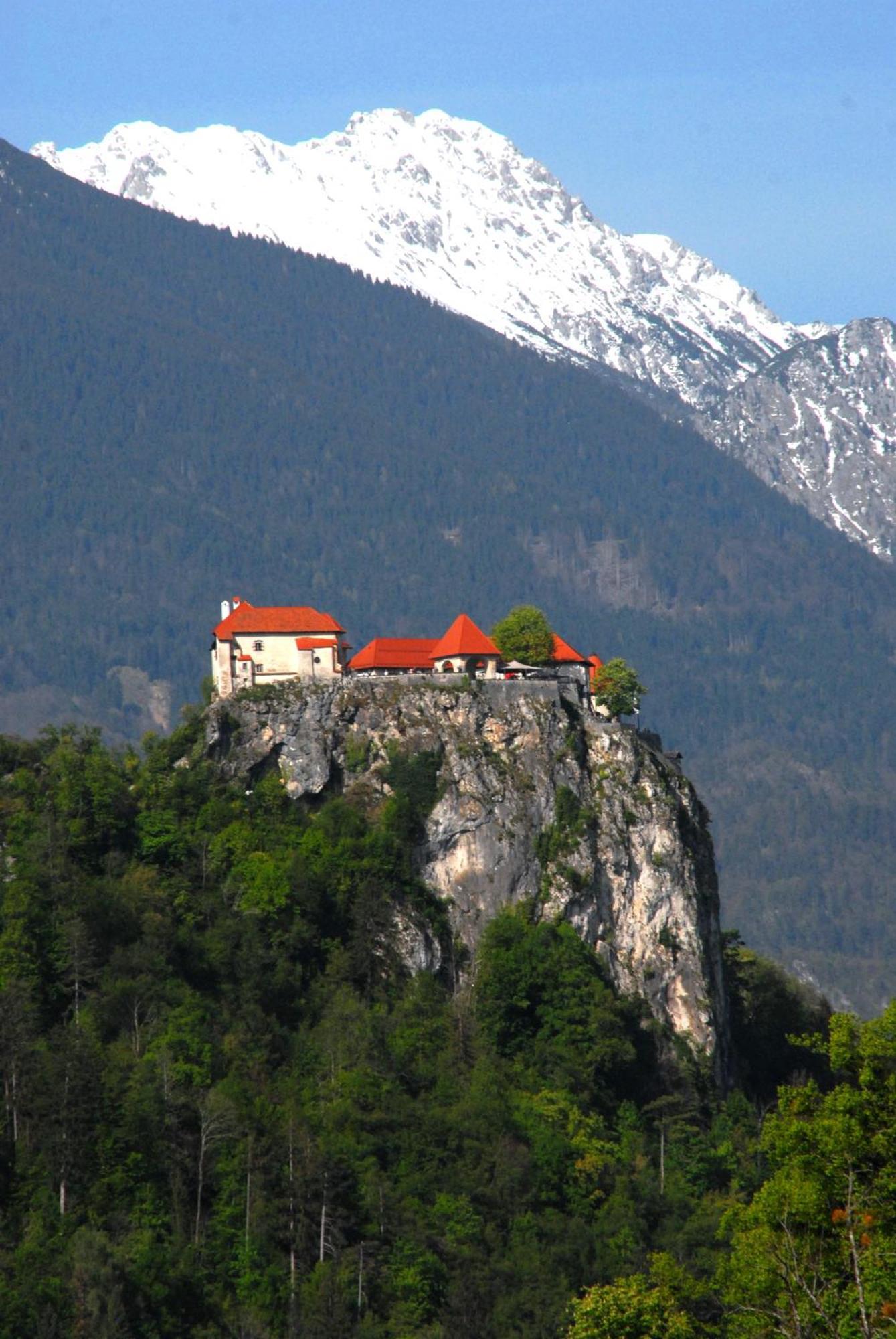 Fantastic Apartment Brglez Bohinjska Bela Exterior foto
